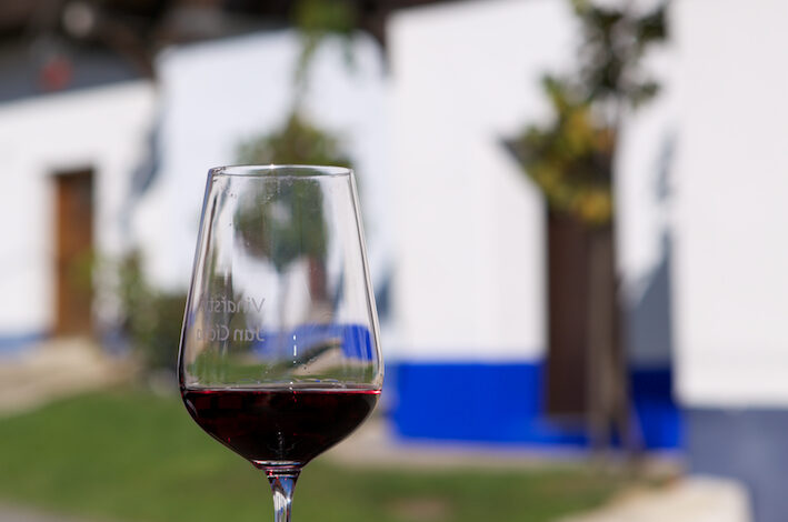 Czechia Set to Welcome the Esteemed IWINETC 2025 Wine Tourism Conference!