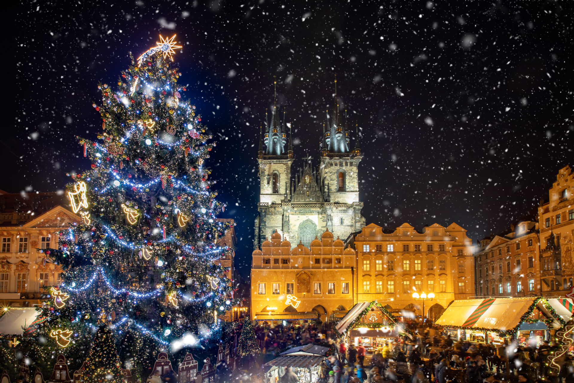 Best Christmas Places to Visit With the Whole Family